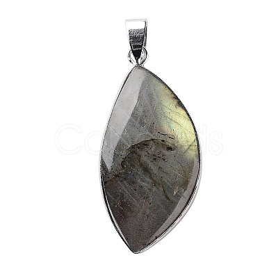 Natural Labradorite Teardrop Pendants G-L350-03-1