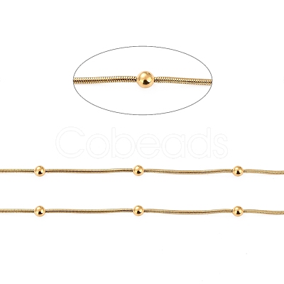 PVD Vacuum Plating 304 Stainless Steel Snake Chains CHS-P014-02G-1