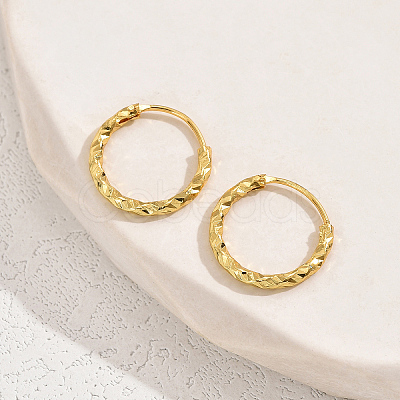 Fashionable Casual Brass Hoop Earrings XY7128-1