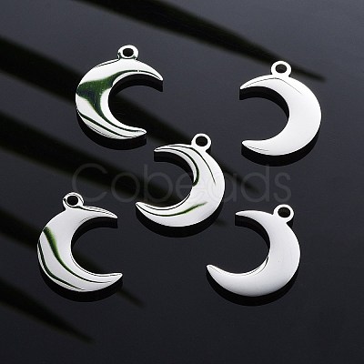 Tarnish Resistant 304 Stainless Steel Pendants LS-STAS-I140-05-1