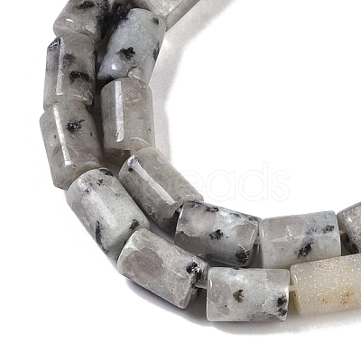 Natural Sesame Jasper Beads Strands G-C128-A31-01-1