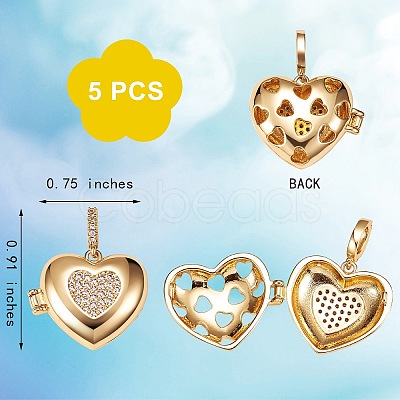 Brass Micro Pave Clear Cubic Zirconia Diffuser Locket Pendants ZIRC-SZ0003-60-1