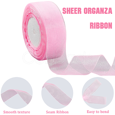 1 Rolls Sheer Organza Ribbon SRIB-CY0001-22B-07-1