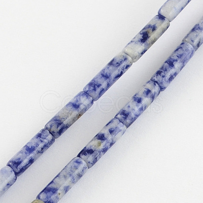 Natural Blue Spot Gemstone Beads Strands X-G-R181-16-1