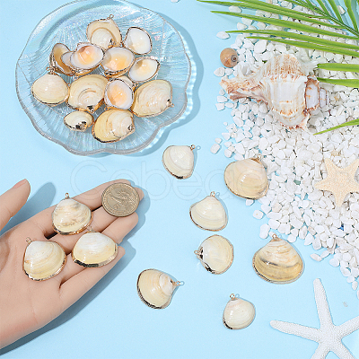 30Pcs Electroplated Natural Shell Pendants SSHEL-SC0001-58-1