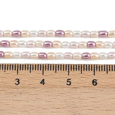 Electroplated Shell Pearl Beads Strands BSHE-H113-06A-01-1