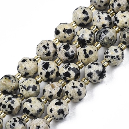 Natural Dalmatian Jasper Beads Strands X-G-N326-100-02-1