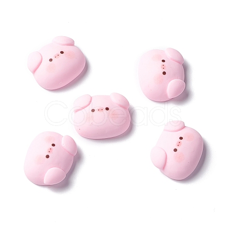 Resin Cabochons RESI-C008-02-1