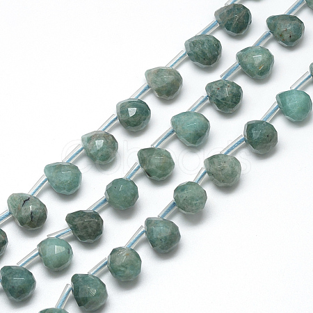 Natural Amazonite Beads Strands G-R435-15I-1