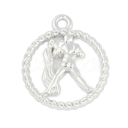 Twelve Constellations Alloy Pendants PALLOY-Q006-01E-S-1