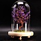 Natural Amethyst Display Decoration, with Brass Wire, for Home Desk Decorations, Tree of Life Cloche Bell Jar, 80x130mm