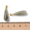 Natural Labradorite Teardrop Pendants X-G-Q005-03G-07-3