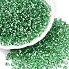 6/0 Baking Paint Transparent Fringe Glass Seed Beads SEED-N006-06K-1