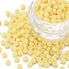 6/0 Glass Seed Beads SEED-T005-14-B23-1