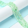 Natural Chrysoprase Beads Strands G-F748-X01-02A-2