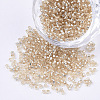 Glass Cylinder Beads SEED-Q036-01A-A08-1