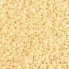 MIYUKI Round Rocailles Beads SEED-X0056-RR3325-2
