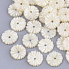 Natural White Shell Beads SSHEL-R045-23-1