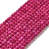Natural Freshwater Shell Beads Strands SHEL-H003-03F-1