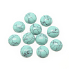 Synthetic Turquoise Cabochons X-G-R416-12mm-44-1