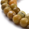 Natural Yellow Opal Beads G-P446-02B-3