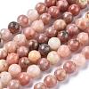 Natural Plum Blossom Jasper Beads Strands G-A163-02-6mm-4