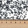 Electroplate Glass Seed Beads SEED-H003-10K-4