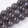 Natural Ice Obsidian Bead Strands G-E468-D01-10mm-1