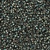 MIYUKI Delica Beads Small X-SEED-J020-DBS0324-3