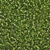 12/0 Glass Seed Beads SEED-A005-2mm-24-2