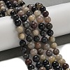 Natural Scorzalite Beads Strands G-B099-C04-06-2