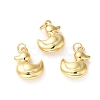 Rack Plating Brass Pendants X-KK-D074-28G-2