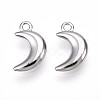 304 Stainless Steel Charms STAS-N109-138P-1