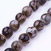Natural Agate Bead Strands X-G-P289-02D-8mm-1