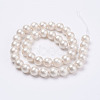 Wrinkle Textured Shell Pearl Beads Strands X-BSHE-F013-02-6mm-2