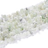Natural New Jade Chip Bead Strands X-G-M205-29-2