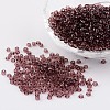 8/0 Glass Seed Beads X-SEED-A004-3mm-16-1