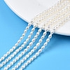 Natural Cultured Freshwater Pearl Beads Strands PEAR-N012-03F-1