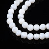 Natural Freshwater Shell Beads Strands BSHE-T009B-01A-4
