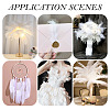 20Pcs 2 Styles Ostrich Feather Costume Accessories FIND-TA0005-96-10
