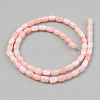 Natural Freshwater Shell Beads Strand X-SHEL-T017-39B-2