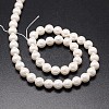 Shell Pearl Beads Strands X-BSHE-E008-8mm-12-2