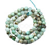 Natural Chrysoprase Beads Strands G-S333-6mm-016-2