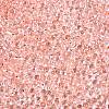 6/0 Baking Paint Transparent Fringe Glass Seed Beads SEED-N006-06E-3