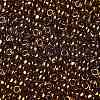 TOHO Round Seed Beads SEED-TR08-0421-2