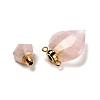 Natural Mixed Gemstone Perfume Bottle Pendants G-D058-11-4