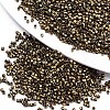 11/0 Grade A Glass Seed Beads SEED-S030-0601F-1