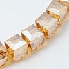 Electorplated Glass Beads EGLA-E006-3H-1