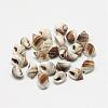 Natural Spiral Shell Beads BSHE-S613-02-2