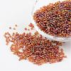 Round Transparent Colors Rainbow Glass Seed Beads X-SEED-A007-2mm-162C-1